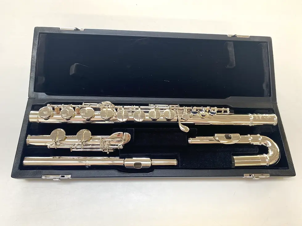 Thumbnail: Mint Open Box Di Zhao DZA 200 Alto Flute, Solid Silver Head and Body ; with Case