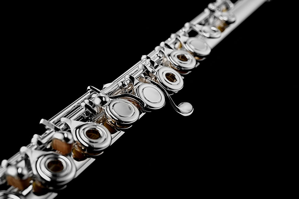 Thumbnail: Mint Open Box Di Zhao DZ 501BEF Flute, Silver Head; with Case