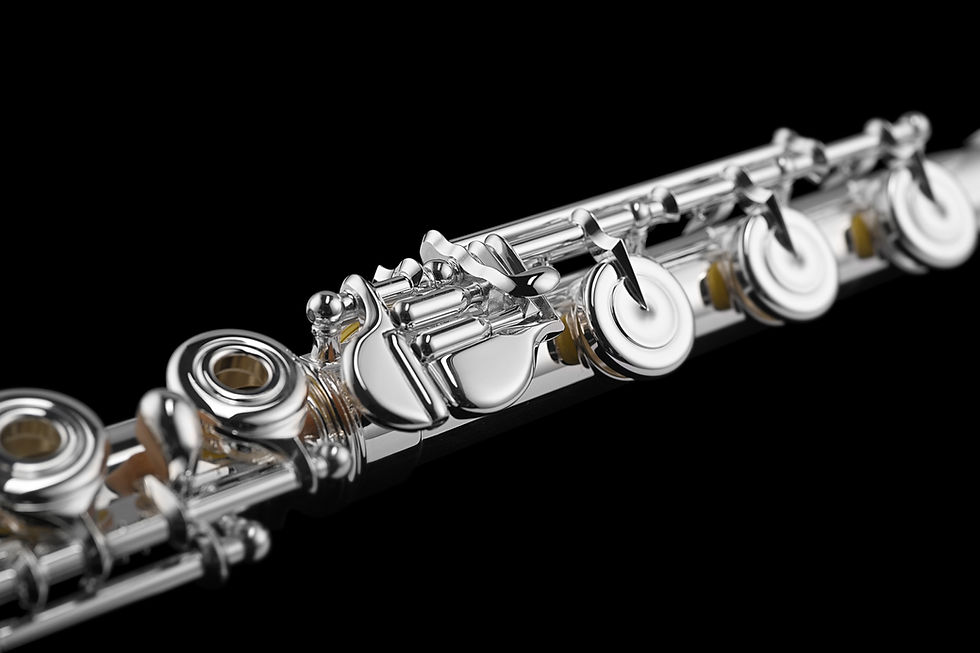 Thumbnail: Mint Open Box Di Zhao DZ 801BEF Silver Flute, C# trill, D# Roller; with Case