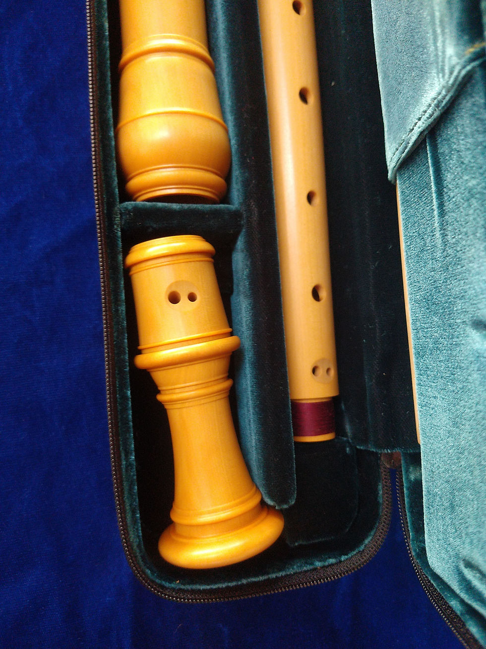 Thumbnail: New Moeck 5334 Denner Alto Recorder - Boxwood, A=415 Hz with Case