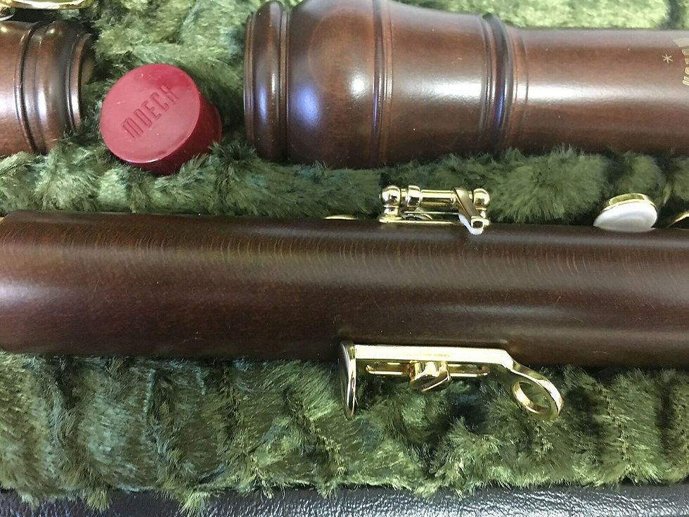 Thumbnail: New Moeck Model 4921 "Rottenburgh" Tenor PLUS Recorder, 4 keys
