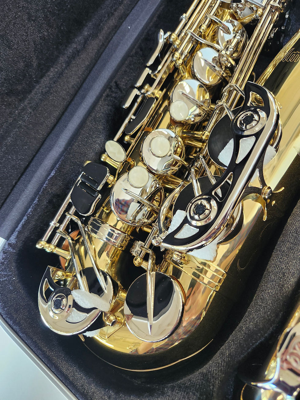 Thumbnail: Mint Open Box Selmer SAS301 Alto Saxophone with Case, Mouthpiece, and Warranty