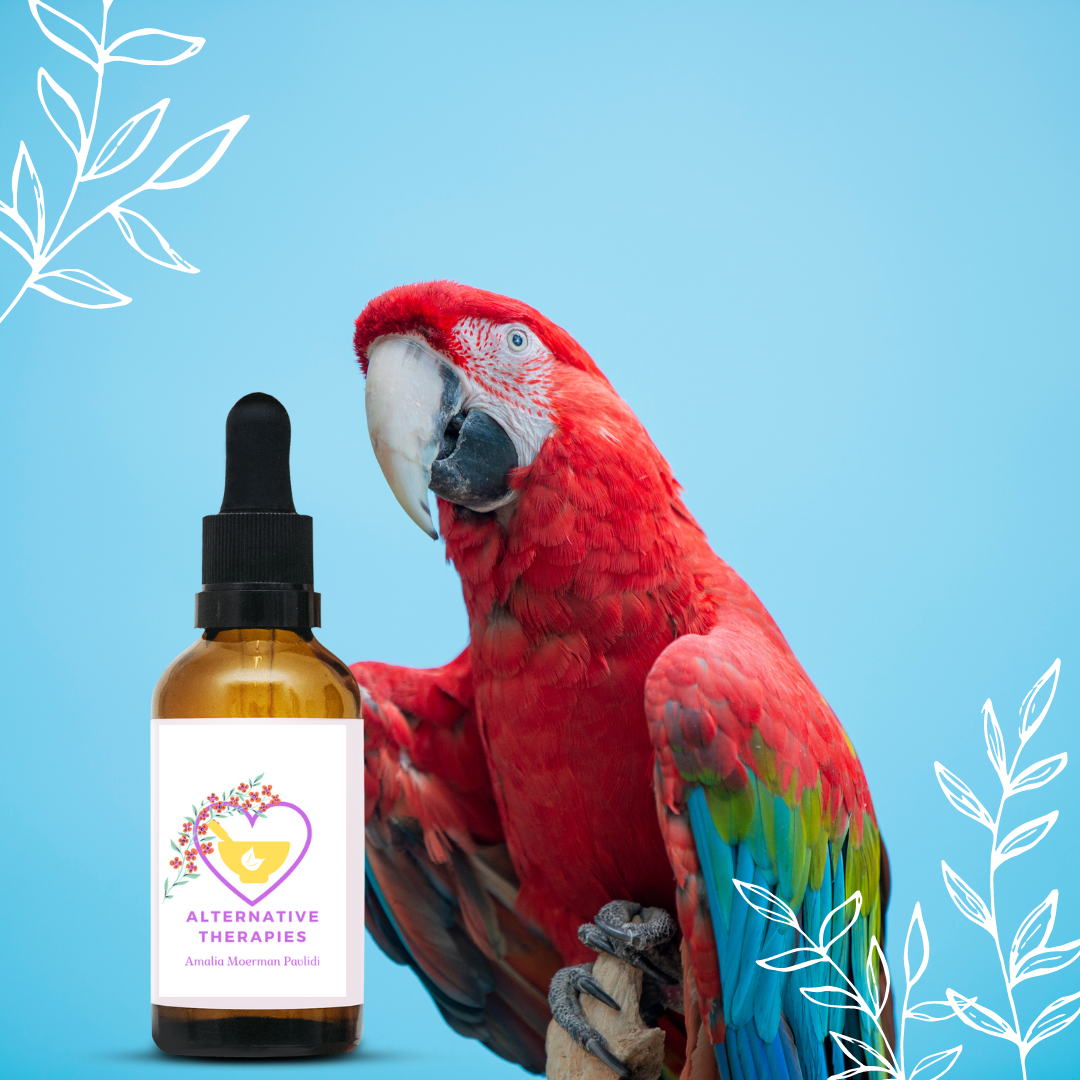 Bach Flower Mix Healthy Parrot