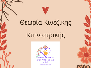 Θεωρία Κινέζικης Κτηνιατρικής