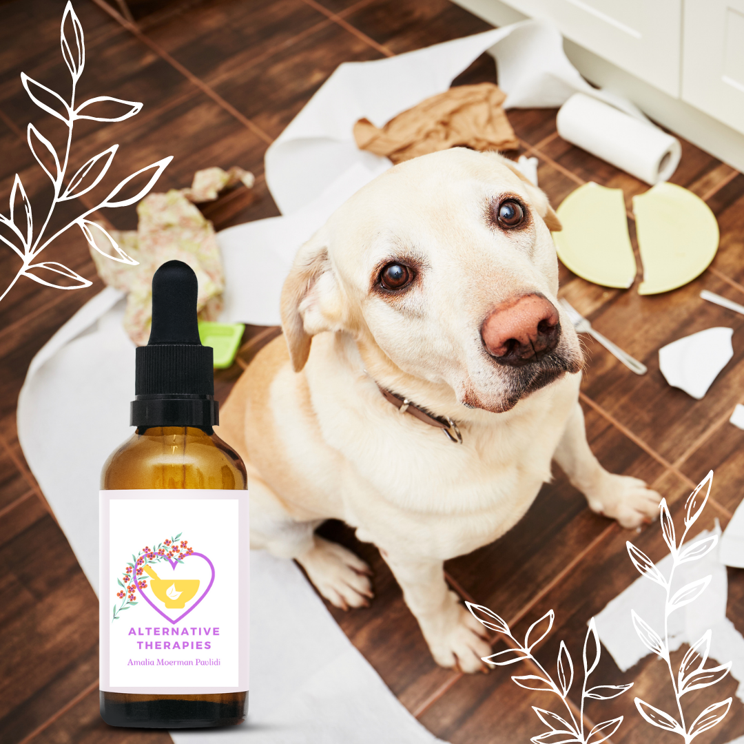 Bach Flower Mix for separation anxiety