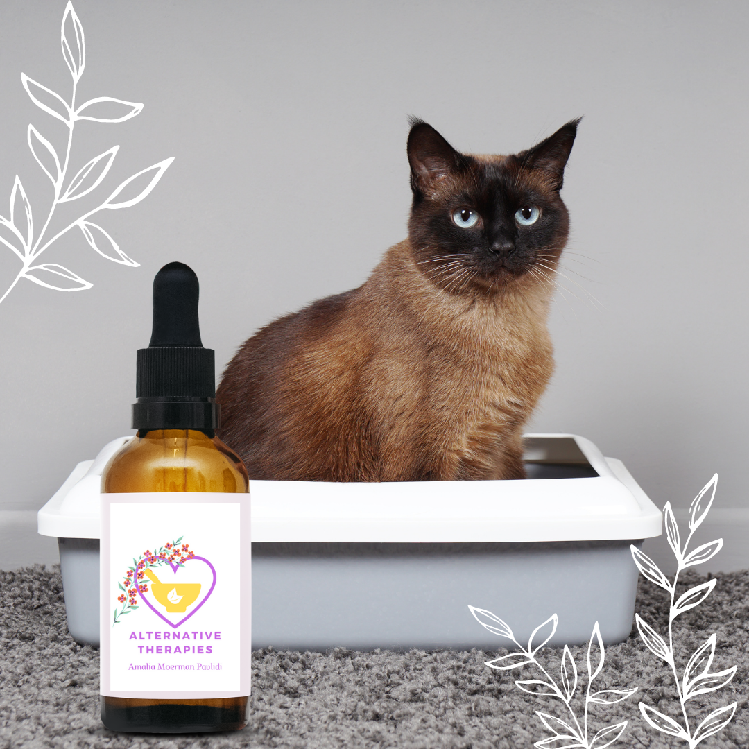 Bach Flower Mix Cat's toilet issues