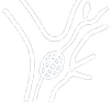 ChatGPT Image May 26, 2026, 02_02_25 AM-Photoroom_edited.png