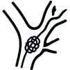 ChatGPT Image May 26, 2026, 02_02_25 AM-Photoroom_edited.png
