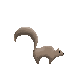 squirrel_animation