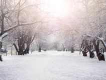 Snow to be banned, due to Russia connection