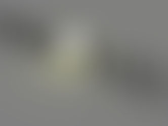 Season's crop of light bulbs growing on trees harvested