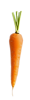 carrot 03.png