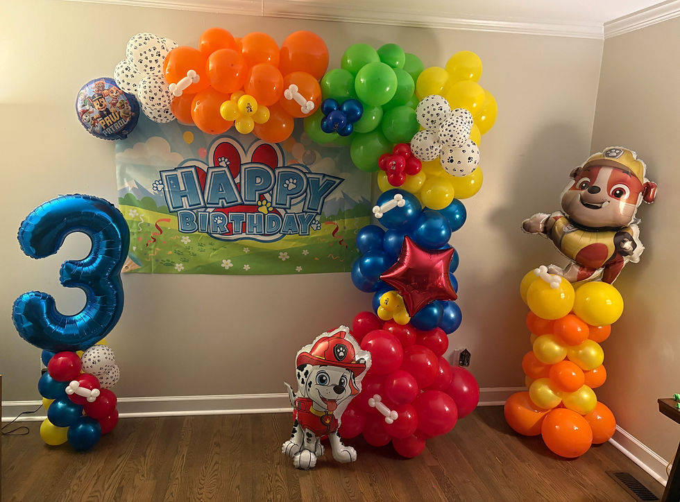 Paw Patrol Birthday Display