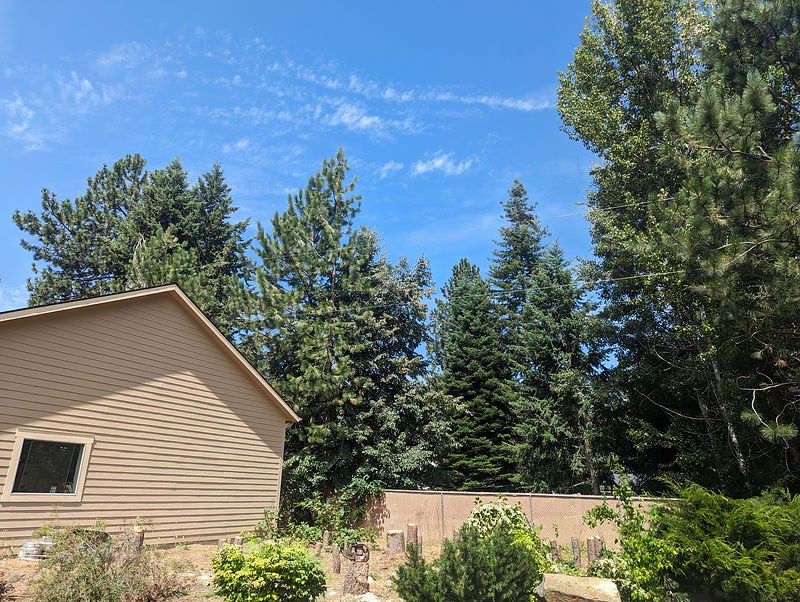 cleared lot of trees