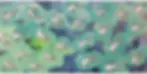 9.webp