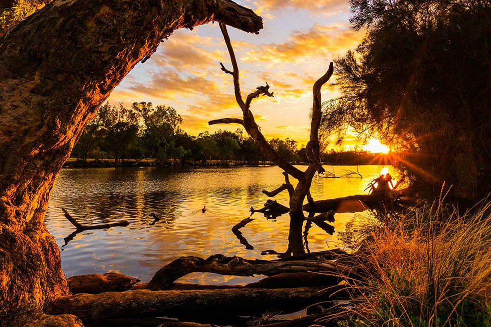 Swan-River.jpg