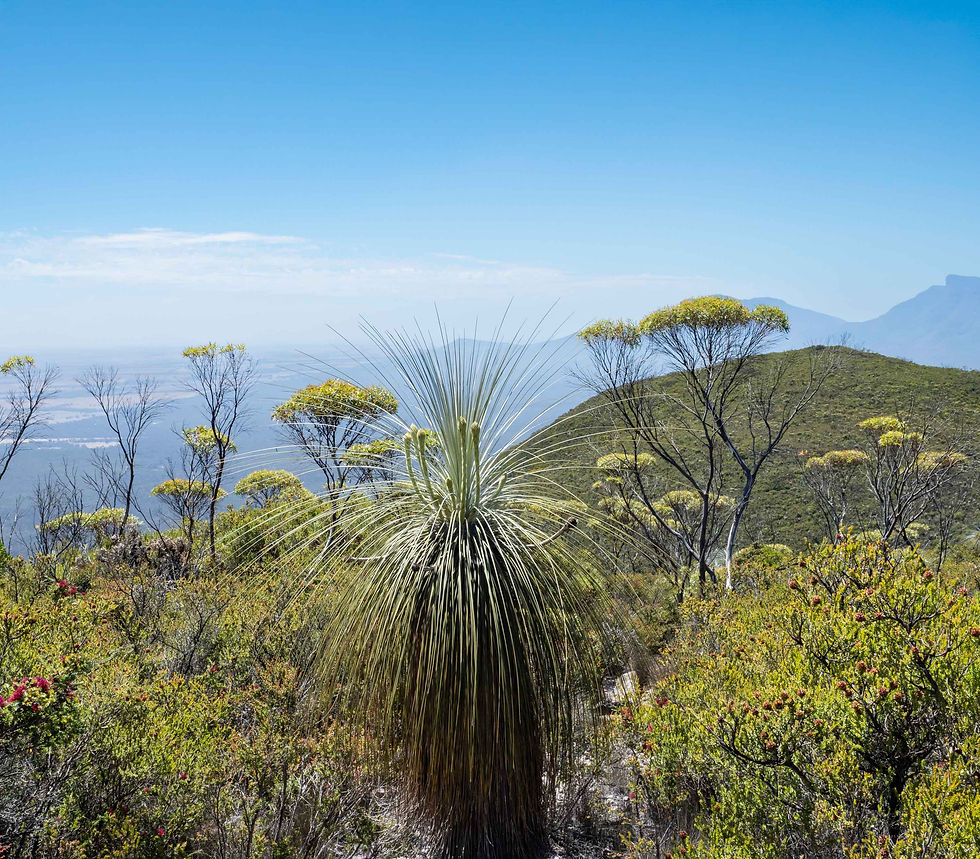 Bibbulmun Country