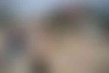 Verteilung von Hilfsgüter an Waisenkinder in der Ukraine