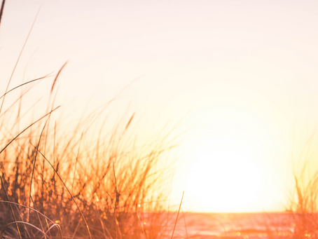 Balancing Act: Nurturing Your Body and Soul in the Fall Season