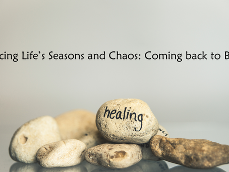 Embracing Life's Seasons: A Return to Betsy's Balanced Living