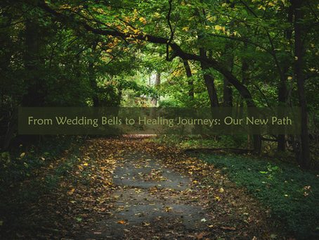 From Wedding Bells to Healing Journeys: Our New Path
