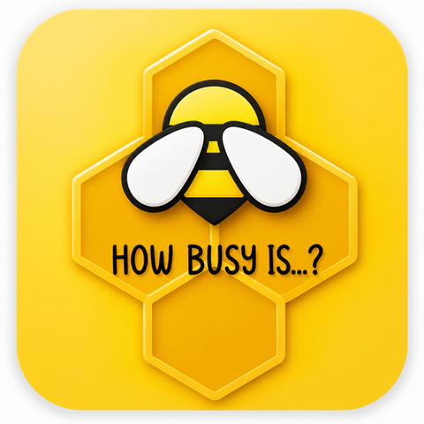 How Busy Is? — service design concept case study