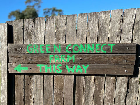 Green Connect Farms — UX research case study