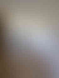 Rénovation Logement - Peintures Intérieures - Obernai (67)