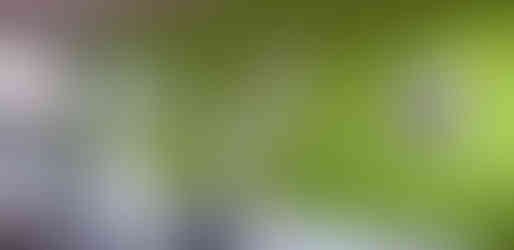 Peintre - La Wantzenau