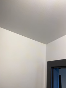 Rénovation Logement - Peintures Intérieures - Strasbourg (67)