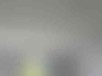 Rénovation Logement - Peintures Intérieures - Strasbourg (67)