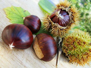 L'automne, bis!
