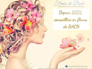 LES FLEURS ENVAHISSENT LE CABINET
