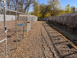 Outdoor Dog Run
