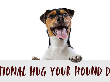 Celebrating National Hug Your Hound Day (Even a Day Late!)