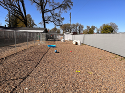 Outdoor dog play area