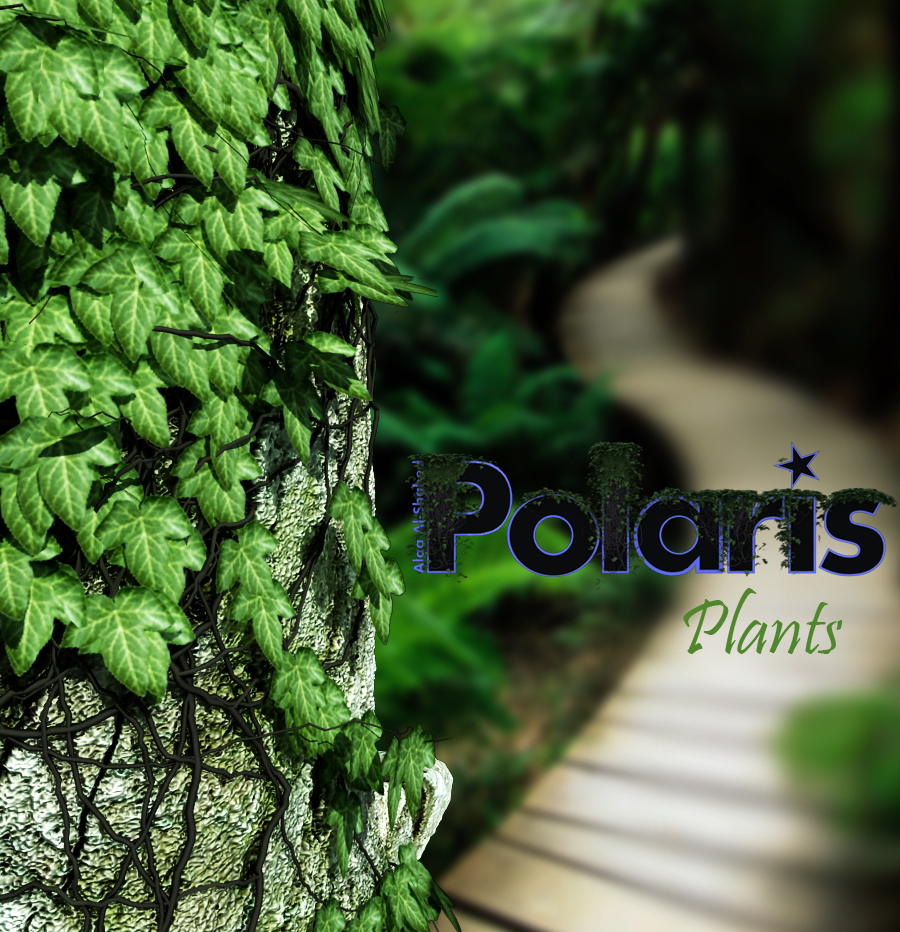 Plants