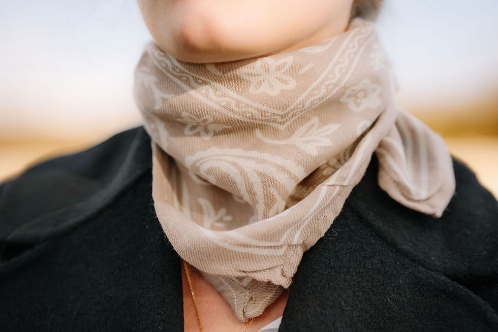 Miniature : Petit Foulard ALIZÉE - Beige
