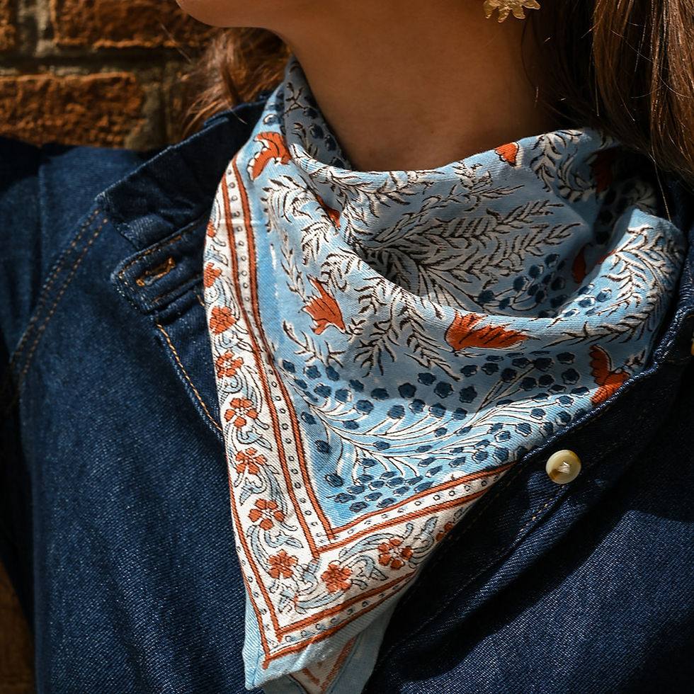 Miniature : Petit Foulard COLOMBE - Bleu