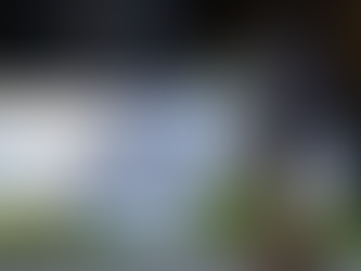 Softbank to buy data center firm DigitalBridge for $4 billion in AI push