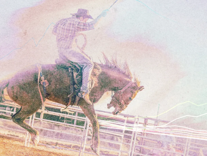 Why opinion on AI is so divided