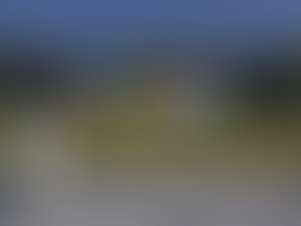 Chinese AI developers say they can’t beat America without better chips