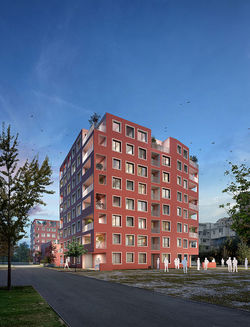 NIGHT_klein-768x1007