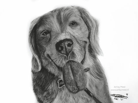 Houtskool tekening in opdracht van huisdier, hondentekening