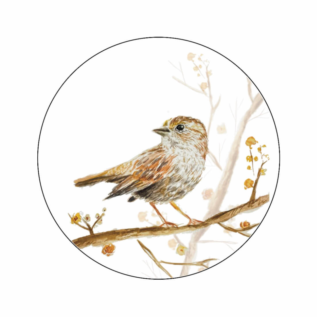 (sluit)Sticker | Musje