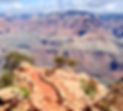 sara kaibab 1_edited_edited.jpg