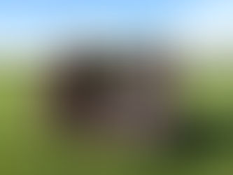 Rugby Team Lose Out to CBS Drogheda