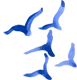 birds.png