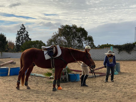 Sitting On The Saddle, I Wept: The Healing Power of Horses