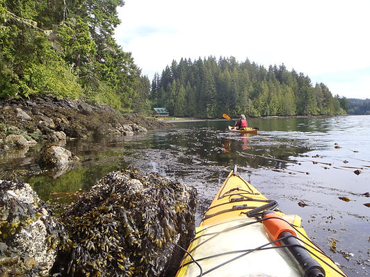 quatsinokayaking27.jpeg